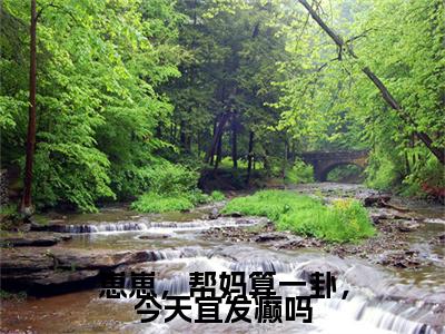 崽崽，帮妈算一卦，今天宜发癫吗（徐霁初钟若灿）热门小说盘点在线阅读-全网推荐小说徐霁初钟若灿全文
