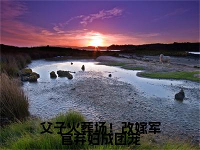父子火葬场！改嫁军官弃妇成团宠老书虫书荒推荐热点小说-父子火葬场！改嫁军官弃妇成团宠乔若芙全文免费阅读