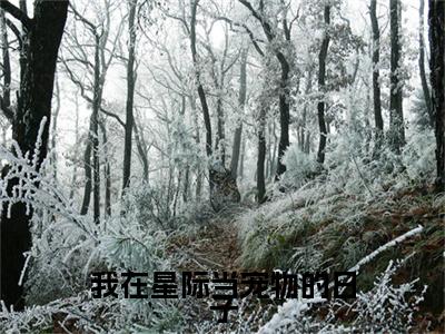 迟安为我在星际当宠物的日子的小说叫什么-最新小说我在星际当宠物的日子全文阅读