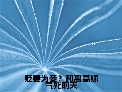 东离陆苍云枝全集小说（贬妻为妾？和离高嫁气死前夫）全文免费阅读无弹窗大结局_东离陆苍云枝最新章节列表_笔趣阁（贬妻为妾？和离高嫁气死前夫）