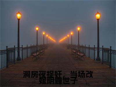 小说（洞房夜捉奸，当场改嫁阴霾世子）纪云舒全文阅读-精彩美文洞房夜捉奸，当场改嫁阴霾世子免费阅读