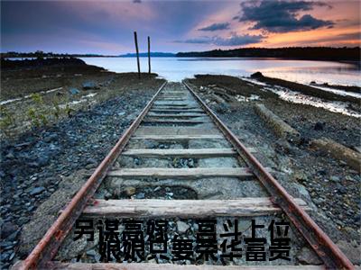 另谋高嫁，宫斗上位，娘娘只要荣华富贵（苏若离陆虔）全文免费阅读无弹窗无删减_小说（另谋高嫁，宫斗上位，娘娘只要荣华富贵）苏若离陆虔最新章节列表笔趣阁