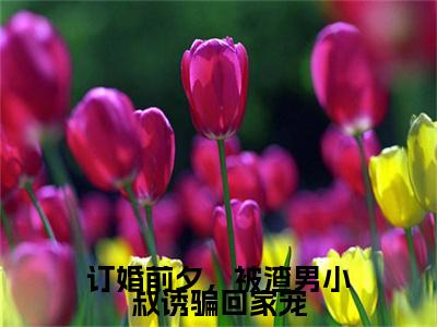 博宴城迟早早订婚前夕，被渣男小叔诱骗回家宠免费小说-订婚前夕，被渣男小叔诱骗回家宠（博宴城迟早早）已更新最新章节