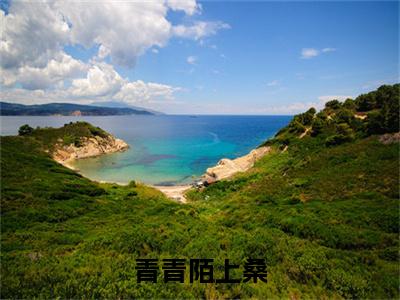 宋慕宁裴渡今日阅读更新，青青陌上桑全文在线看