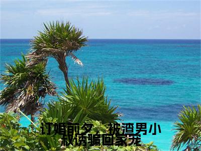 订婚前夕，被渣男小叔诱骗回家宠（博宴城迟早早）全文免费阅读无弹窗大结局_订婚前夕，被渣男小叔诱骗回家宠完整版在线阅读章节列表_笔趣阁