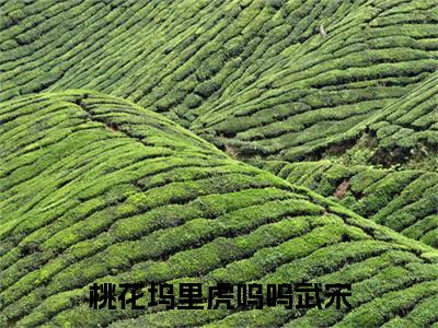 颜九儒武宋完结版小说桃花坞里虎呜呜武宋全文在线免费阅读_桃花坞里虎呜呜武宋最新章节列表_笔趣阁