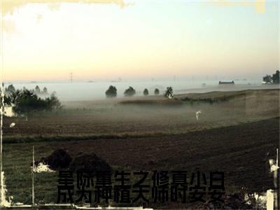 时安安全文（星际重生之修真小白成为种植大师时安安）全文免费阅读无弹窗大结局_时安安免费最新章节列表_笔趣阁