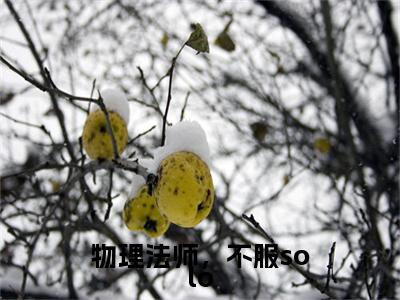 物理法师，不服solo全文免费阅读无弹窗大结局-王异全文在线阅读最新章节列表_笔趣阁