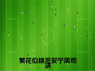 沈雨眠周司决全文免费阅读无弹窗大结局_（沈雨眠周司决）最新章节列表笔趣阁（繁花似锦觅安宁周司决）