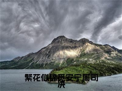 沈雨眠周司决（繁花似锦觅安宁周司决）新上热文免费阅读-沈雨眠周司决（繁花似锦觅安宁周司决）无广告在线阅读