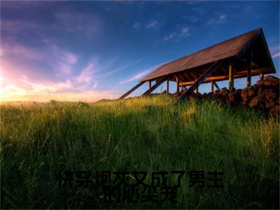 抖音高赞小说快穿炮灰又成了男主的心尖宠在线阅读沈凝顾景行新上现代言情小说推荐