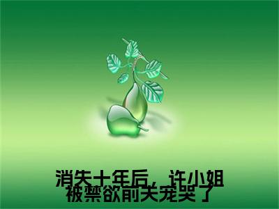 许念之陆昊诚小说（消失十年后，许小姐被禁欲前夫宠哭了）全文免费阅读无弹窗大结局_许念之陆昊诚小说最新章节列表_笔趣阁