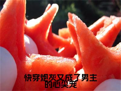 快穿炮灰又成了男主的心尖宠（沈凝顾景行）全文免费阅读无弹窗大结局_快穿炮灰又成了男主的心尖宠全文免费完结版阅读（沈凝顾景行）