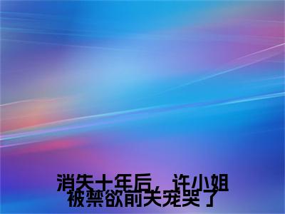 消失十年后，许小姐被禁欲前夫宠哭了（许念之陆昊诚）小说全文免费阅读无弹窗大结局_消失十年后，许小姐被禁欲前夫宠哭了小说免费阅读最新章节列表笔趣阁（许念之陆昊诚）