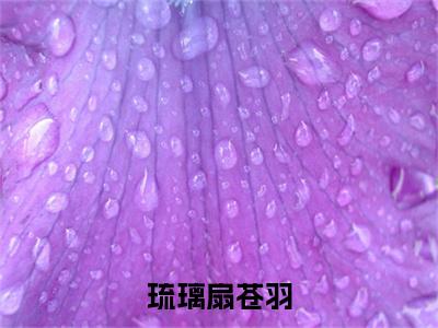 琉璃扇苍羽抖音热推小说全集无删减月影苍羽最新章节列表免费阅读_（琉璃扇苍羽）最新章节列表笔趣阁