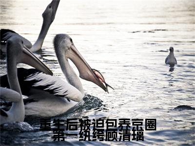 免费+番外霍言顾清璃全文免费阅读大结局重生后被迫包养京圈第一纨绔顾清璃小说最新章节阅读无弹窗