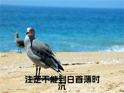 迟知鸢薄时沉（注定不能到白首薄时沉）全文免费阅读无弹窗大结局_（迟知鸢薄时沉）注定不能到白首薄时沉小说在线阅读无删减