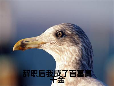辞职后我成了首富真千金（霍时延袁曦全文在线阅读）-辞职后我成了首富真千金免费阅读