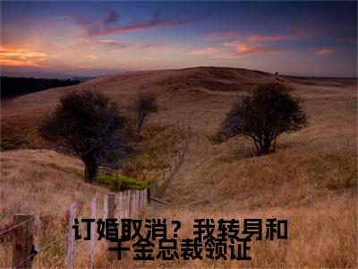 订婚取消？我转身和千金总裁领证（林南）全文免费阅读无弹窗大结局_订婚取消？我转身和千金总裁领证小说（林南）最新章节列表