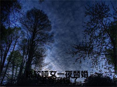 宋芸瑶慕容昊小说（娇软哑女一夜替婚，王爷宠爆了）全文免费阅读无弹窗大结局_宋芸瑶慕容昊小说最新章节列表_笔趣阁