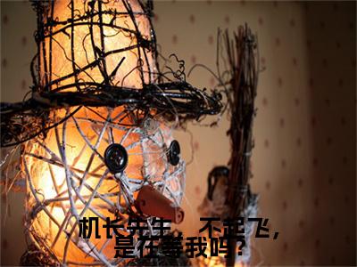 祁劲洛霏霏多人推荐-好看的小说机长先生，不起飞，是在等我吗？完整版免费阅读