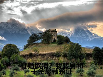 林南小说免费阅读无弹窗《订婚取消？我转身和千金总裁领证》_订婚取消？我转身和千金总裁领证全文阅读林南