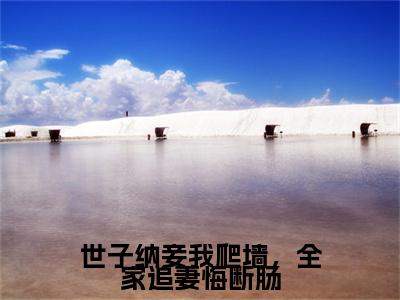 世子纳妾我爬墙，全家追妻悔断肠（盛知婉商行聿）全文免费阅读_（盛知婉商行聿）最新章节小说免费阅读（世子纳妾我爬墙，全家追妻悔断肠）