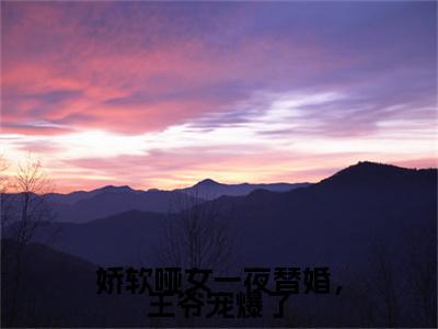 娇软哑女一夜替婚，王爷宠爆了全文免费阅读_宋芸瑶慕容昊（娇软哑女一夜替婚，王爷宠爆了）小说在线阅读最新章节列表笔趣阁