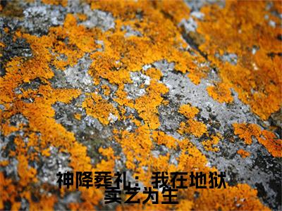 神降葬礼：我在地狱卖艺为生小说全文大结局-神降葬礼：我在地狱卖艺为生（花先雪愿向晚）小说全文免费阅读