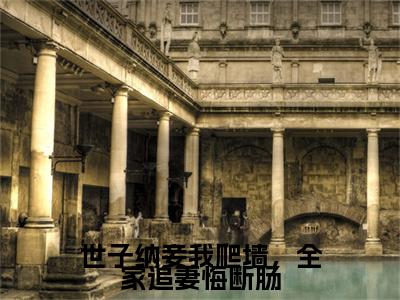盛知婉商行聿小说（世子纳妾我爬墙，全家追妻悔断肠已完结小说全集完整版大结局）世子纳妾我爬墙，全家追妻悔断肠小说全文阅读笔趣阁