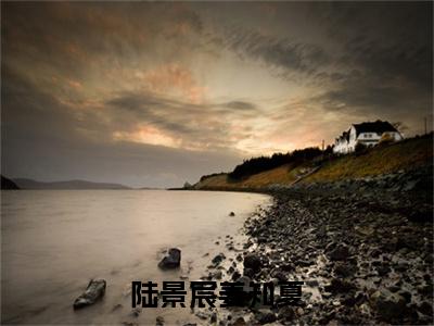 陆景宸姜知夏（姜知夏陆景宸全文在线阅读）-陆景宸姜知夏（姜知夏陆景宸）免费阅读无删减大结局