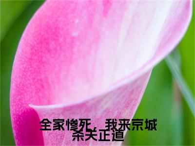 全家惨死，我来京城杀夫正道（谢绾李承赫）全文免费阅读无弹窗大结局_谢绾李承赫全文免费阅读_笔趣阁（全家惨死，我来京城杀夫正道）