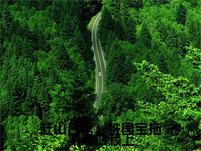 陈北（赶山日常：被国宝拖家带口赖上）全文免费阅读无弹窗大结局_赶山日常：被国宝拖家带口赖上全文在线阅读