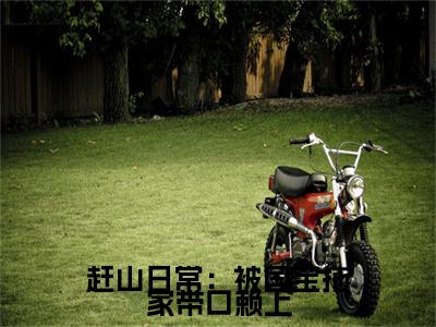 陈北长篇免费小说，赶山日常：被国宝拖家带口赖上最新章节在线阅读