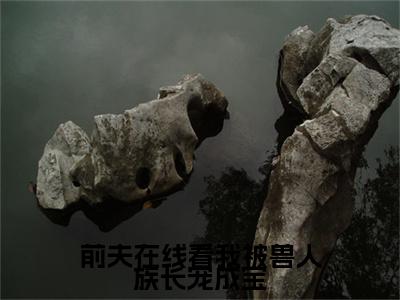 唐云禾斩戈的小说免费阅读（前夫在线看我被兽人族长宠成宝的小说免费阅读）全文完整版免费阅读