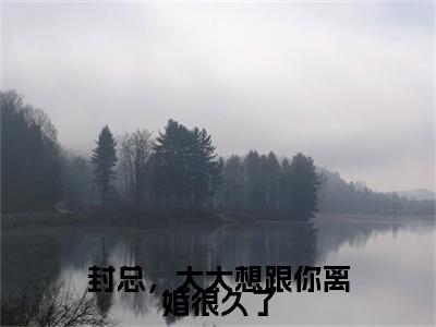 小说（封总，太太想跟你离婚很久了）容辞封庭深全文阅读_小说封总，太太想跟你离婚很久了免费阅读（容辞封庭深）笔趣阁