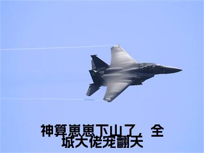 神算崽崽下山了，全城大佬宠翻天（鱼鱼）免费阅读无弹窗-小说神算崽崽下山了，全城大佬宠翻天大结局全文免费阅读