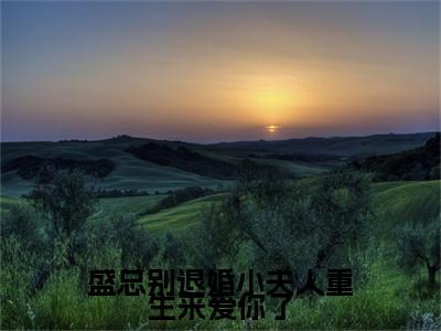 盛总别退婚小夫人重生来爱你了小说盛祈年洛千渝最新更新—盛祈年洛千渝小说美文赏析