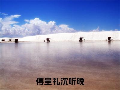 沈听晚傅呈礼小说（傅呈礼沈听晚）全文免费阅读_（傅呈礼沈听晚）沈听晚傅呈礼小说最新章节列表
