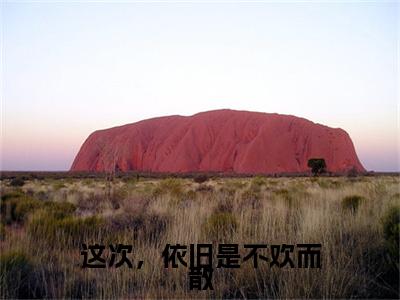 这次，依旧是不欢而散小说（谢清宴夏梦）全文免费阅读无弹窗大结局_（谢清宴夏梦）最新章节列表（谢清宴夏梦）
