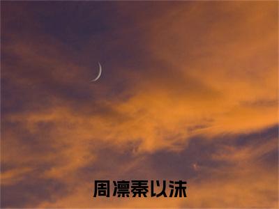 周凛秦以沫（周凛秦以沫）全文免费阅读无弹窗大结局_（周凛秦以沫）最新章节