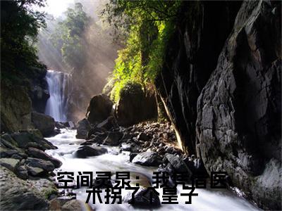 空间灵泉：我凭借医术拐了个皇子（柳絮）小说多人阅读-小说柳絮在哪里看免费