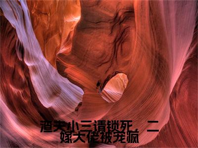 季晚樱燕北臣小说（渣夫小三请锁死，二嫁大佬被宠疯）全文免费阅读_（渣夫小三请锁死，二嫁大佬被宠疯）季晚樱燕北臣小说最新章节列表
