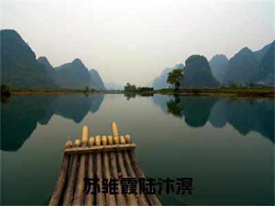 苏雏霞陆汴溟在线阅读（苏雏霞陆汴溟）全文免费阅读无弹窗大结局