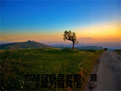 （番外）+（全文）穿越成极品老娘，靠武力值爽飞小说免费下载阅读_（穿越成极品老娘，靠武力值爽飞）莫琳最新章节列表_笔趣阁（莫琳）