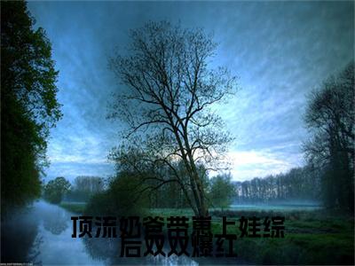 顶流奶爸带崽上娃综后双双爆红小说（花灵灵）全文免费阅读无弹窗大结局_花灵灵最新章节列表（花灵灵）