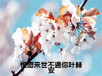 惟愿来世不遇你叶赫安已完结小说全集阅读（沈清璇叶赫安完整版大结局）惟愿来世不遇你叶赫安小说全文阅读笔趣阁
