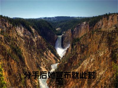 裴佳怡小说全文无删减-分手后她宣布就此封笔裴佳怡小说大结局免费阅读
