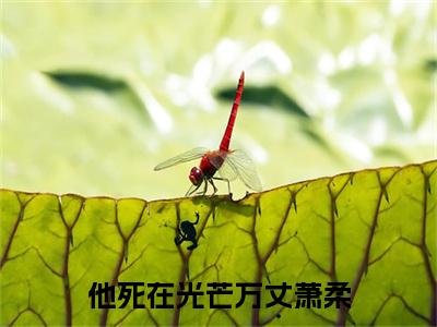 他死在光芒万丈萧柔（萧柔楚霖）小说全文大结局-（萧柔楚霖）全章节完整版在线阅读