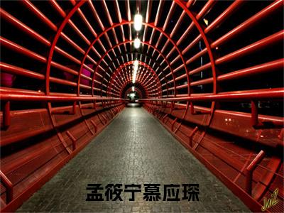 孟筱宁慕应琛小说全文无删减-孟筱宁慕应琛孟筱宁慕应琛小说大结局免费阅读